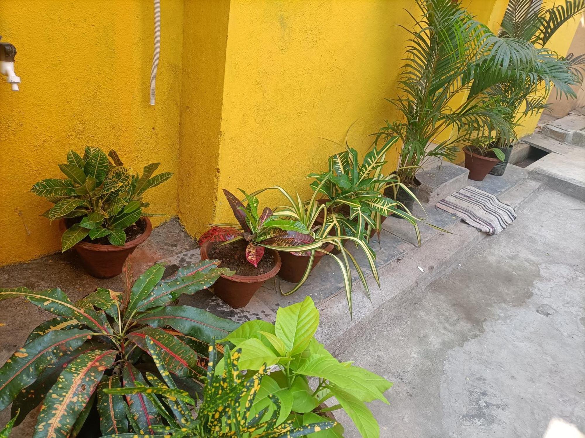 Nks Homestay Puduččéri Exteriér fotografie